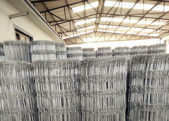 Cerca de alambre fija del prado de la bisagra, Mesh Wire Fencing galvanizado 2.5m m